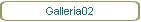 Galleria02